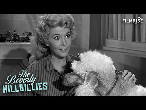 The Beverly Hillbillies - Season 1, Episode 22 - Duke Steals a Wife - Full Episode