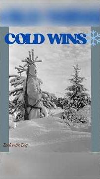 The Cold That Killed More Than Bullets. ww2. #ww2 #ww2history #history #historydocumentary #wwii
