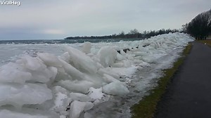 You will not believe what you will see 🤔 Via: ViralHog | The Proposal