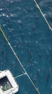 This spot is loaded! | Local Knowledge