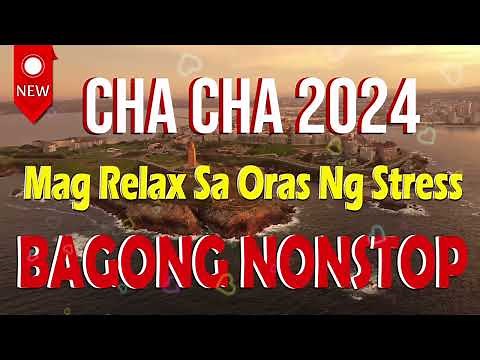 Best Reggae Cha Cha Mix 🦎 Nonstop Cha Cha Medley 🦎 New Best Reggae Cha Cha Disco Medley 2024