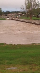 The Flinders River at Hughenden is peaking again. Here's how close it was a bit earlier this morning. 📸: Cathy Hubbard | ABC North West Queensland
