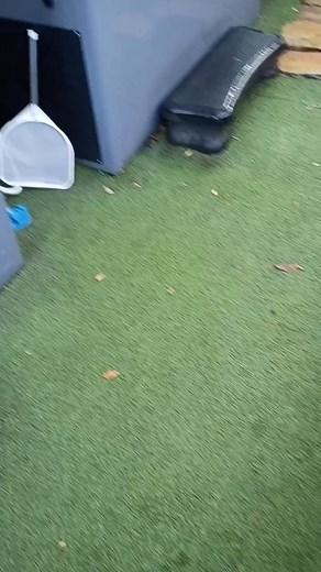 Crush it  | Daniel Crowley | Facebook