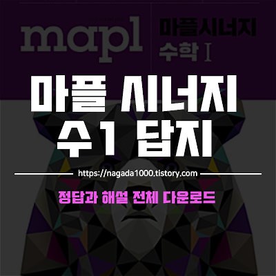 마플 시너지 수1 답지 바로 다운로드 (정답과 해설 전체)
