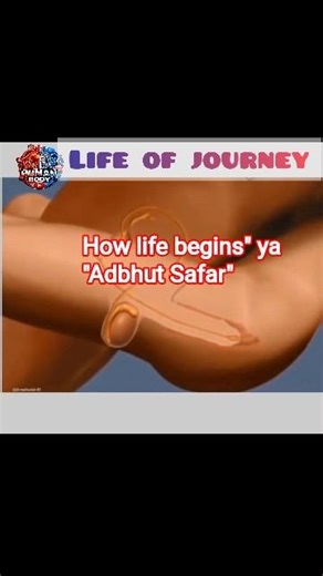 The Incredible Journey of Life: From Sperm to Baby (3D Animation) ✨