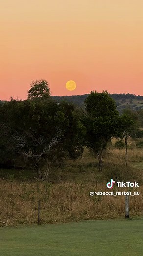 rebecca_herbst_au on TikTok