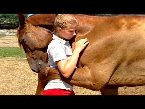 10 Animals That Saved Peoples Lives