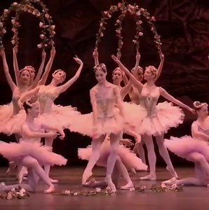 TUTU TUESDAY! Maria Yakovleva and Dancers from Wiener Staatsballet in Le Corsaire | Núcleo de Dança Carolina Cox