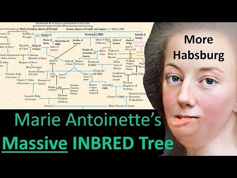 Marie Antoinette's INBRED FAMILY TREE- Her Habsburg Lineage Explained!