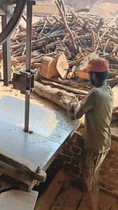 Amazing art of making wooden bat inside the factory | Amazing Box