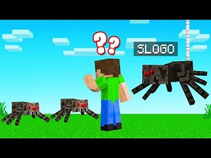Playing GUESS WHO As SPIDERS! (Minecraft)