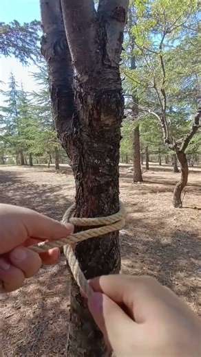 Bushcraft Knot Guide #skills #lifehacks #outdoors #camping