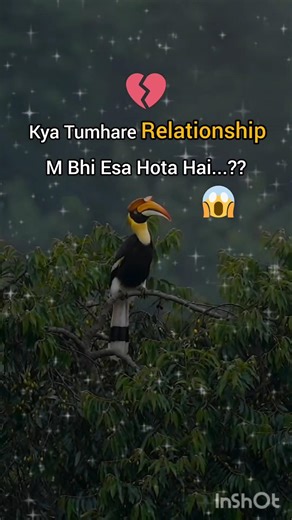 99% logo k partner ese hote hai