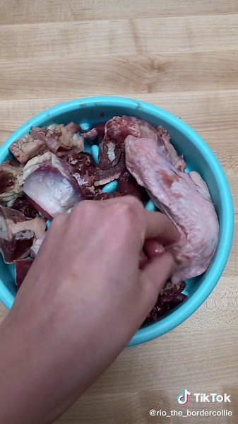 Homemade Raw Dog Food Recipe for Border Collie Puppy