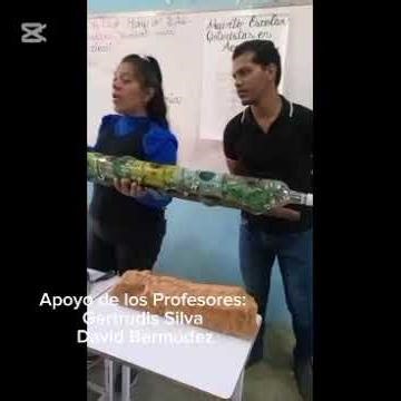 Hydroponics with 6th grade students.