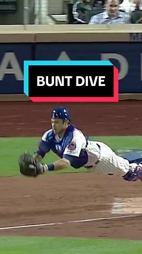 1978 Yosemite National Park Lost Experience