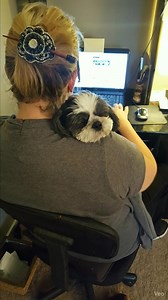 POV: You’re on your 47th zoom call and your emotional support intern is on a paid nap break 🐶💤💻 #WorkFromHome #DogMomLife #OfficeAssistant | Shih Tzu Love