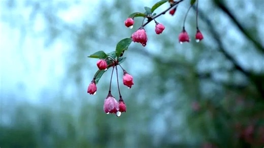 摩恩垃圾处理器维修中心|24小时全国统一售后受理中心电话4008899746