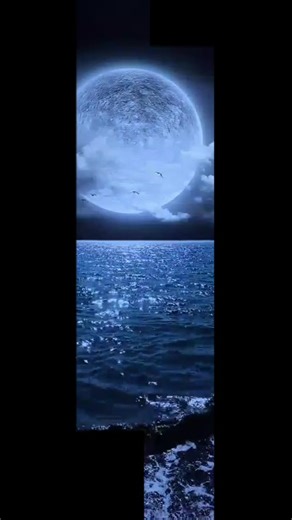 STINE_GRAPHICS (@stine_graphics)’s videos with Ambient-style emotional piano - MoppySound