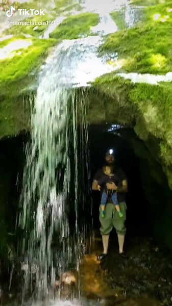 Captivating Footage of a Real Fairy Caught on Camera