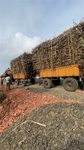 #janapada #lo #song #entertainment #dj