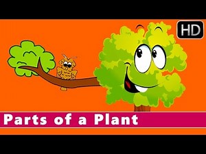 Parts of a Plant | Learn about Plants | Animation Nursery Rhymes