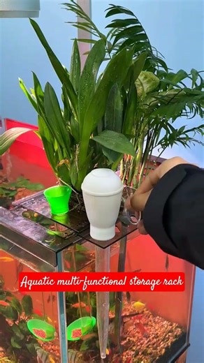 Extendable hydroponic fish tank multi-functional storage rack #fishtant#fishkeeping#fishkeepingdiary