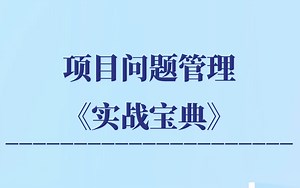 干货分享：项目问题管理《实战宝典》！！