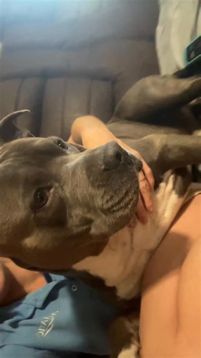 I love this big baby | Colleen Miller