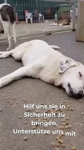 Deine Hilfe macht den Unterschied