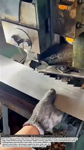 “Extreme Industrial Apple Peeling Machine – High-Speed Automatic Fruit Processing Technology”.