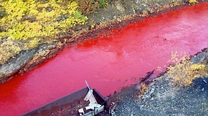 709K views · 1.8K reactions | This river turned bright red. The cause: pollution. #WhatOnEarth | Science Channel | Facebook