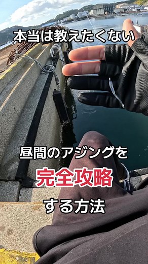 アジングで簡単に釣れる方法をマスターしよう