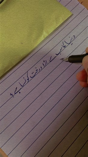 Explore the World's Biggest Tree: A Natural Marvel