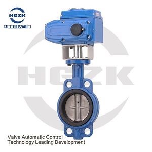 [Hot Item] DN100 4inch Pn10 16 Wafer Water Control Valve