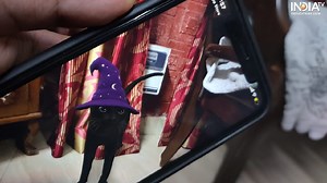 Google 3D Animals get Halloween treatment: Here’s how to use the feature on Android, iOS