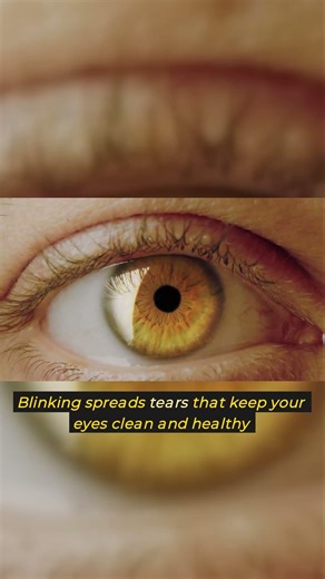 What If You Couldn’t Blink for 60 Seconds? 😳👁️
