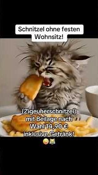😜🤣Was ist Schnitzel ohne Wohnsitz? #katzenvideos #lustig #funnyshorts #lachen #viralshort #meme