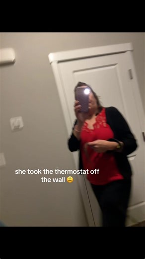Housemate Shenanigans: The Thermostat Disappearance