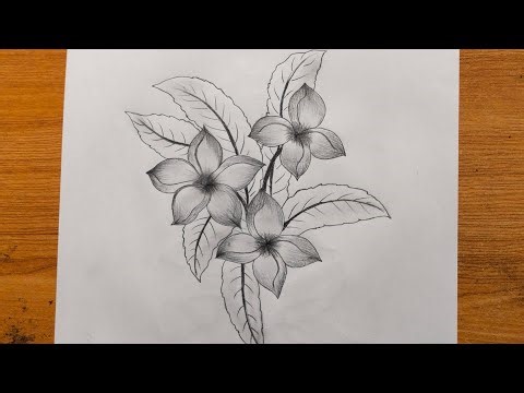 Easy simple flower drawing step by step drawing tutorial 