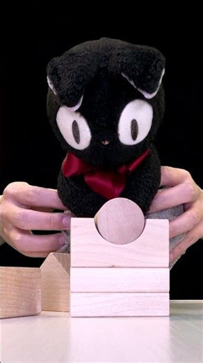 Kuro’s Adorable Construction Project — So Wholesome! 💞🧱