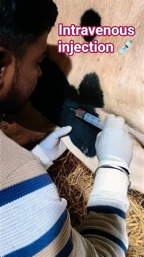 intravenous injection 💉#short #video #youtube #viral_video #shorts
