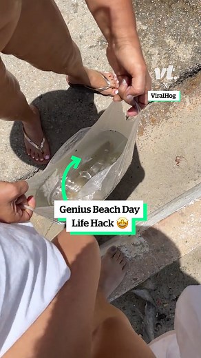 Beach days will never be the same 🤩 🎥: ViralHog | VT