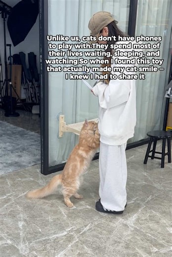 My cat is no longer boring since I got this automatic cat toy.@Happycode #HolidayHaul #cattoys #tiktokshopcybermonday #tiktokshopblackfriday #catlover