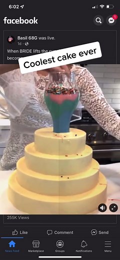 Colorful Cake Decorating with Icing and Sprinkles