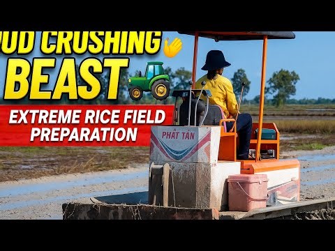 Mud Crushing Beast 🌾🚜 | Extreme Rice Field Preparation