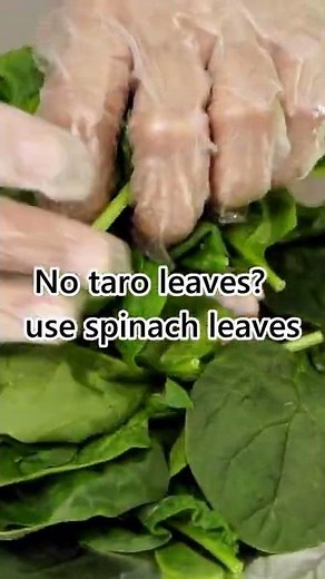 LAU LAU - WATCH HOW to make Lau Lau with or without TI LEAVES or TARO LEAVES :()