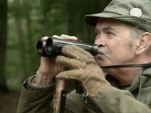 Roe deer, summer hunting