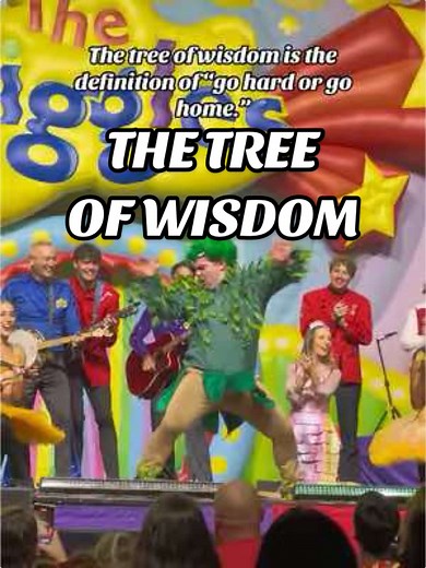 The Wiggles Concert 2024: Dominic Field's Fun Moments